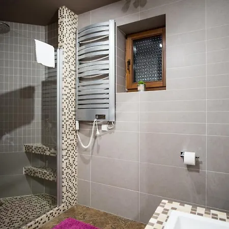 Rodzinne Ii Apartzakop Zakopane